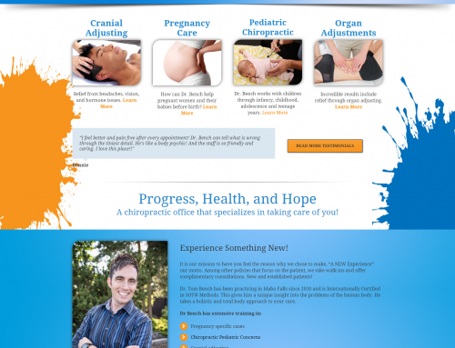Evolution Chiropractic Website